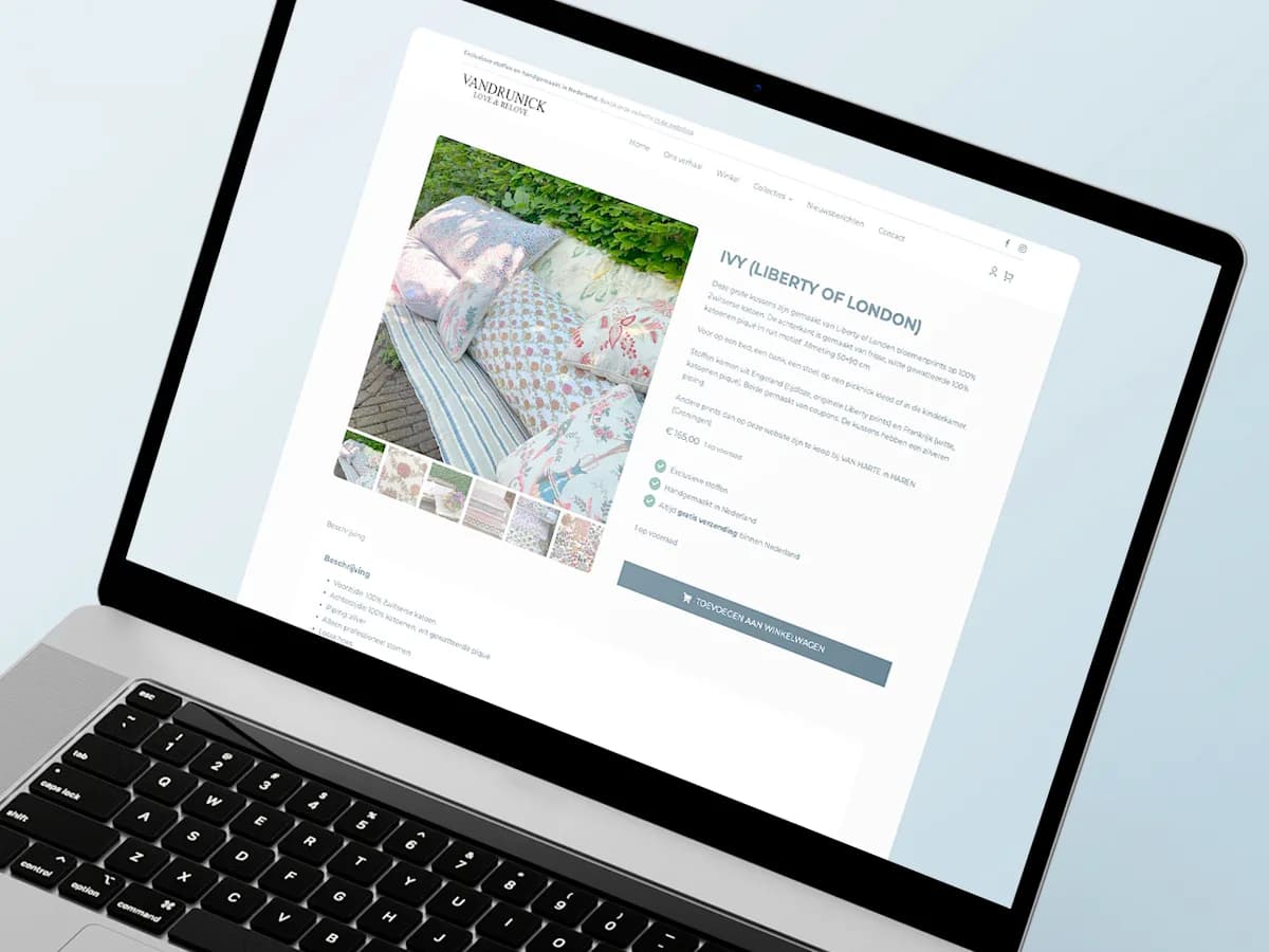 Vandrunick portfolio project